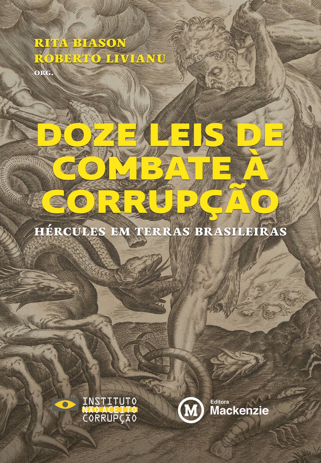 DOZE LEIS DE COMBATE À CORRUPÇÃO